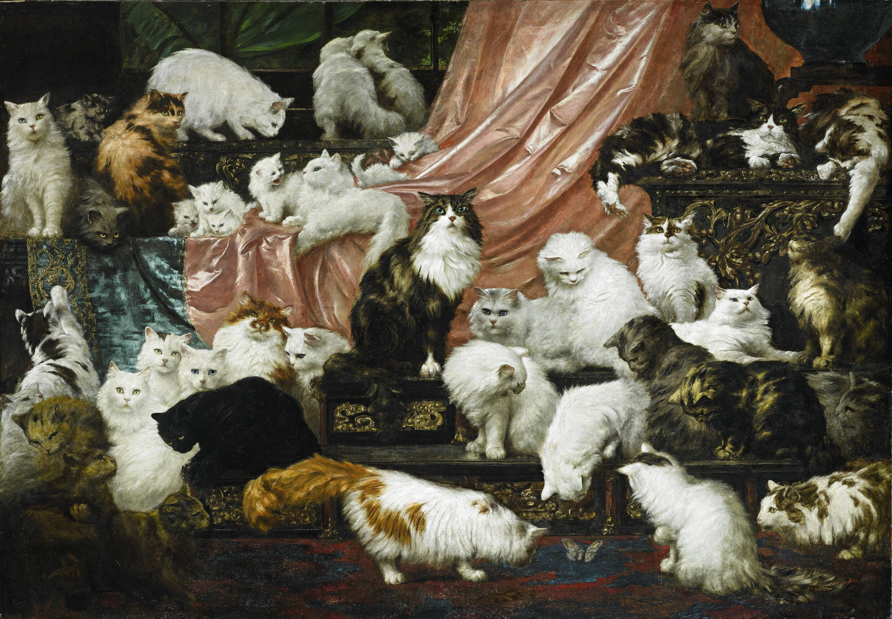 Cats