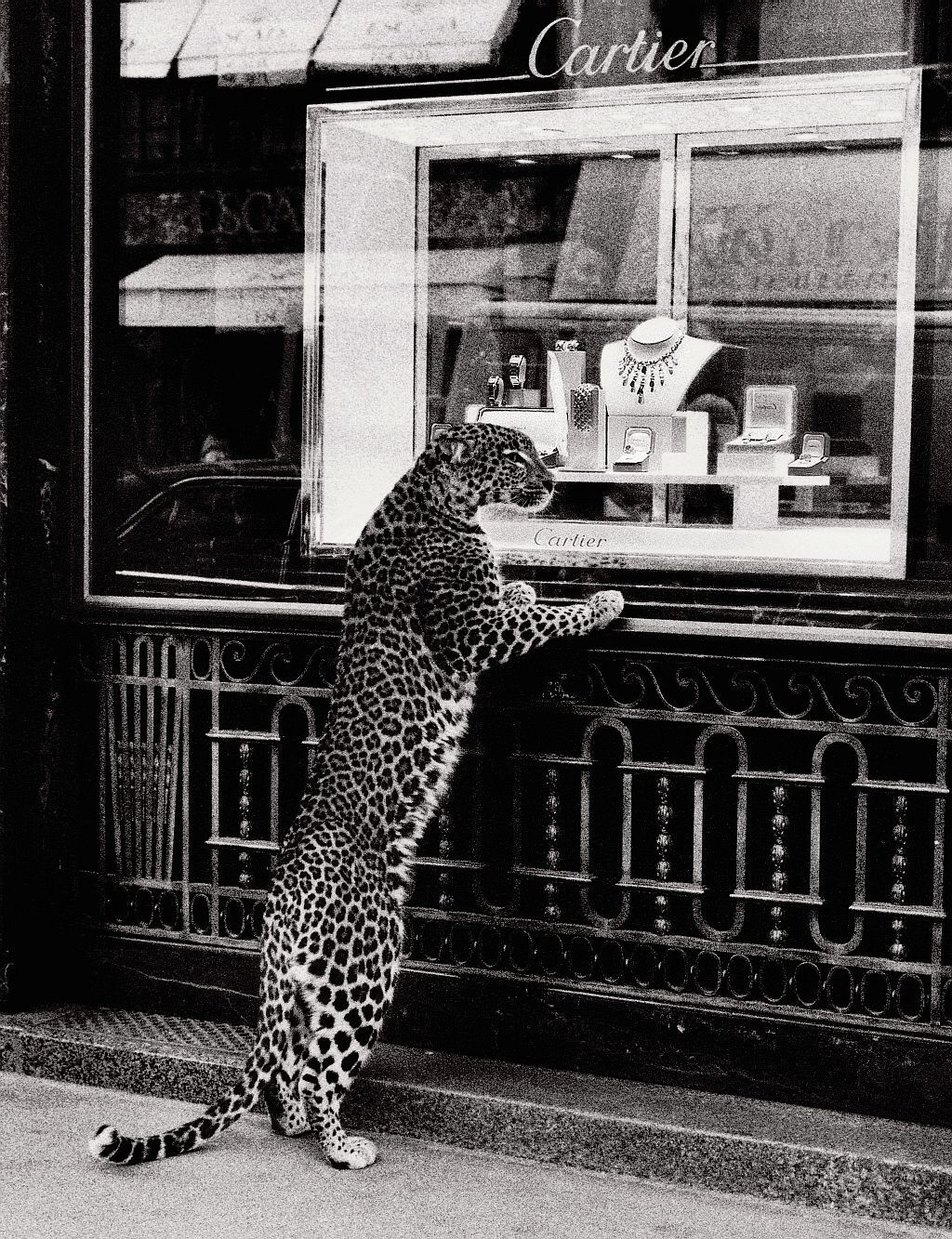 Cartier advertisement, circa 1950 Jean Larivière
