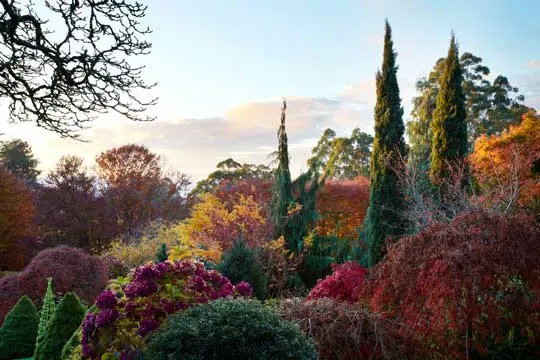 2017 Autumn Country Garden tour April 2017