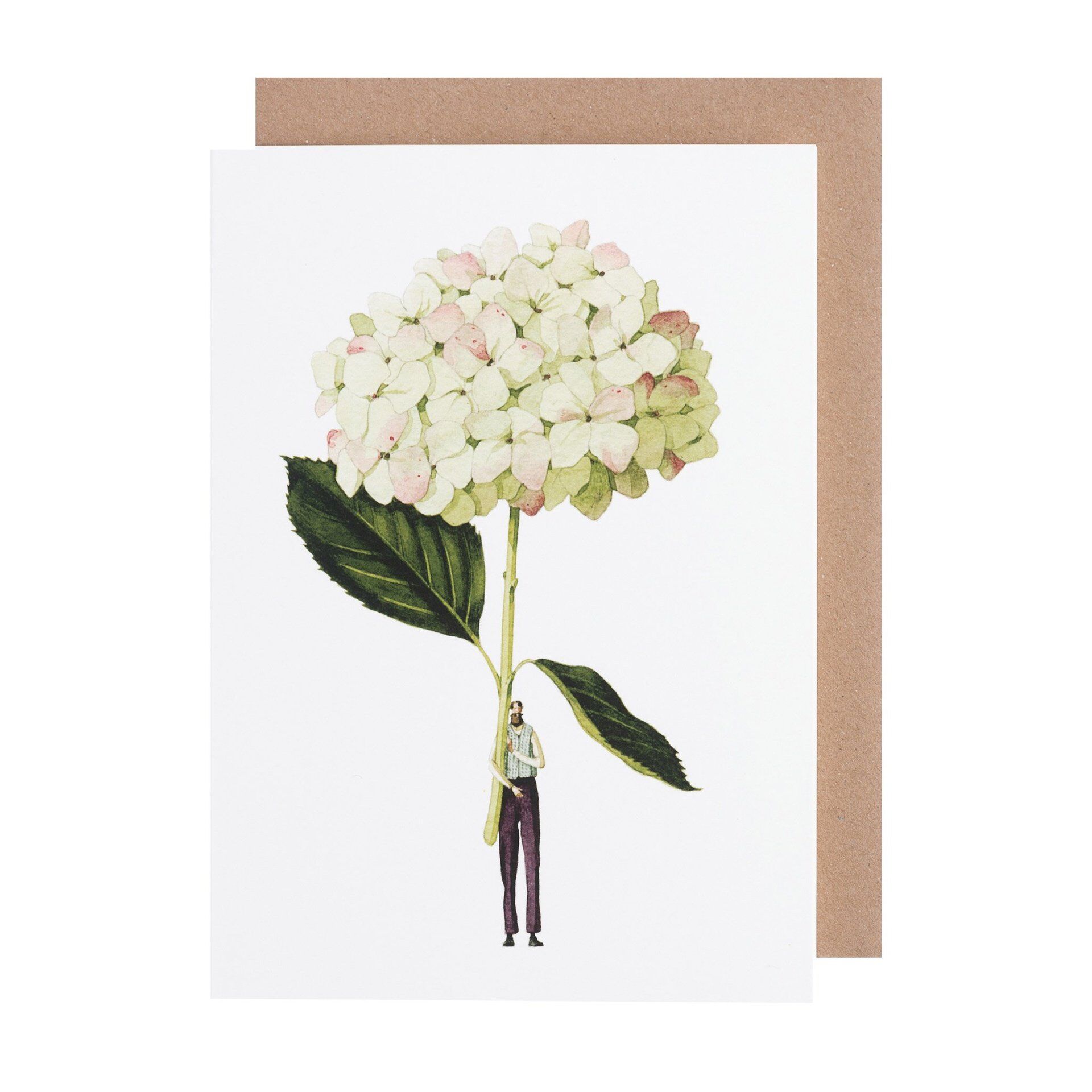 Card (Laura Stoddart): Green Hydrangea