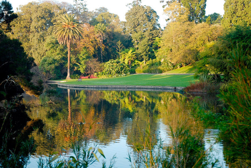 melbourne_botanic_garden_original