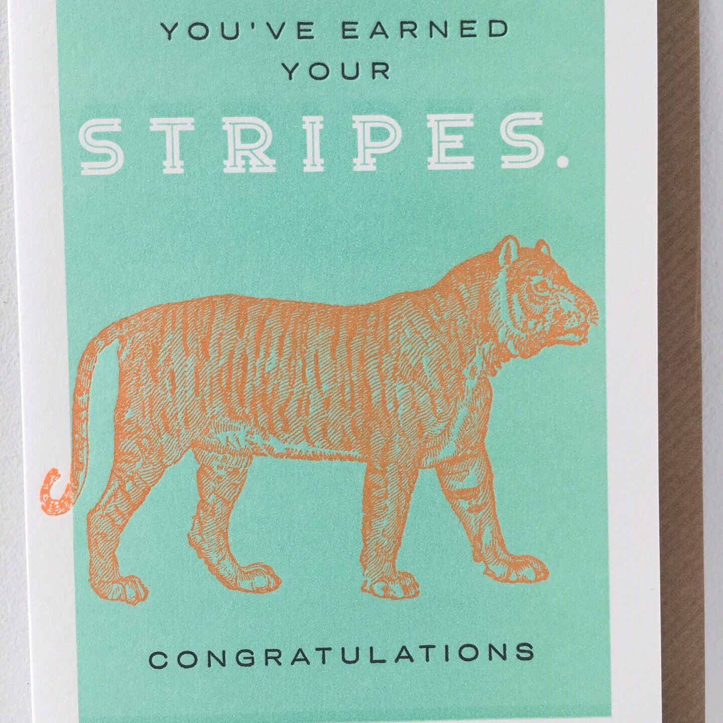 Card (Archivist Gallery): You've Earned Your Stripes