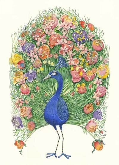 Card (DM Collection): Peacock