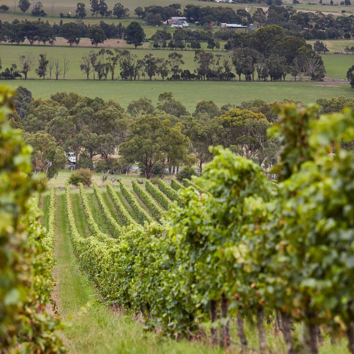 AUTUMN COUNTRY GARDEN TOUR 2024 | Coombe Yarra Valley and Alowyn Gardens