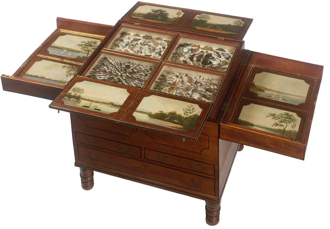 macquarie chest
