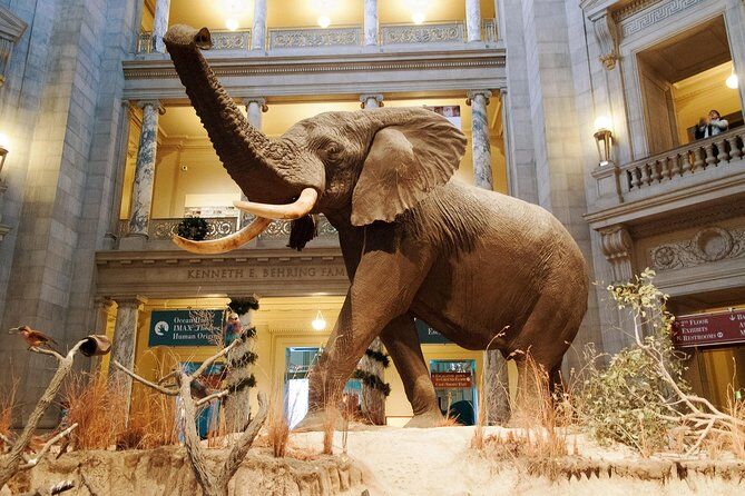 Museum of Natural History