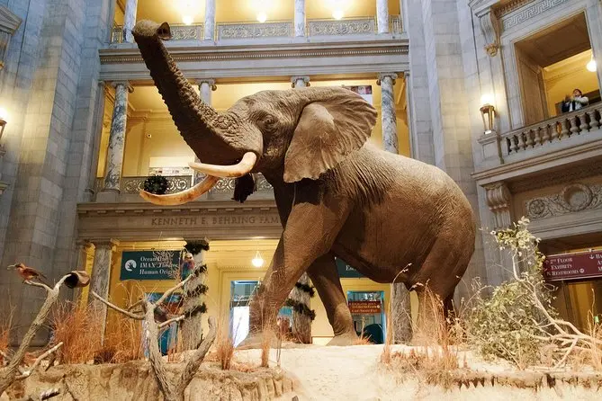 Museum of Natural History
