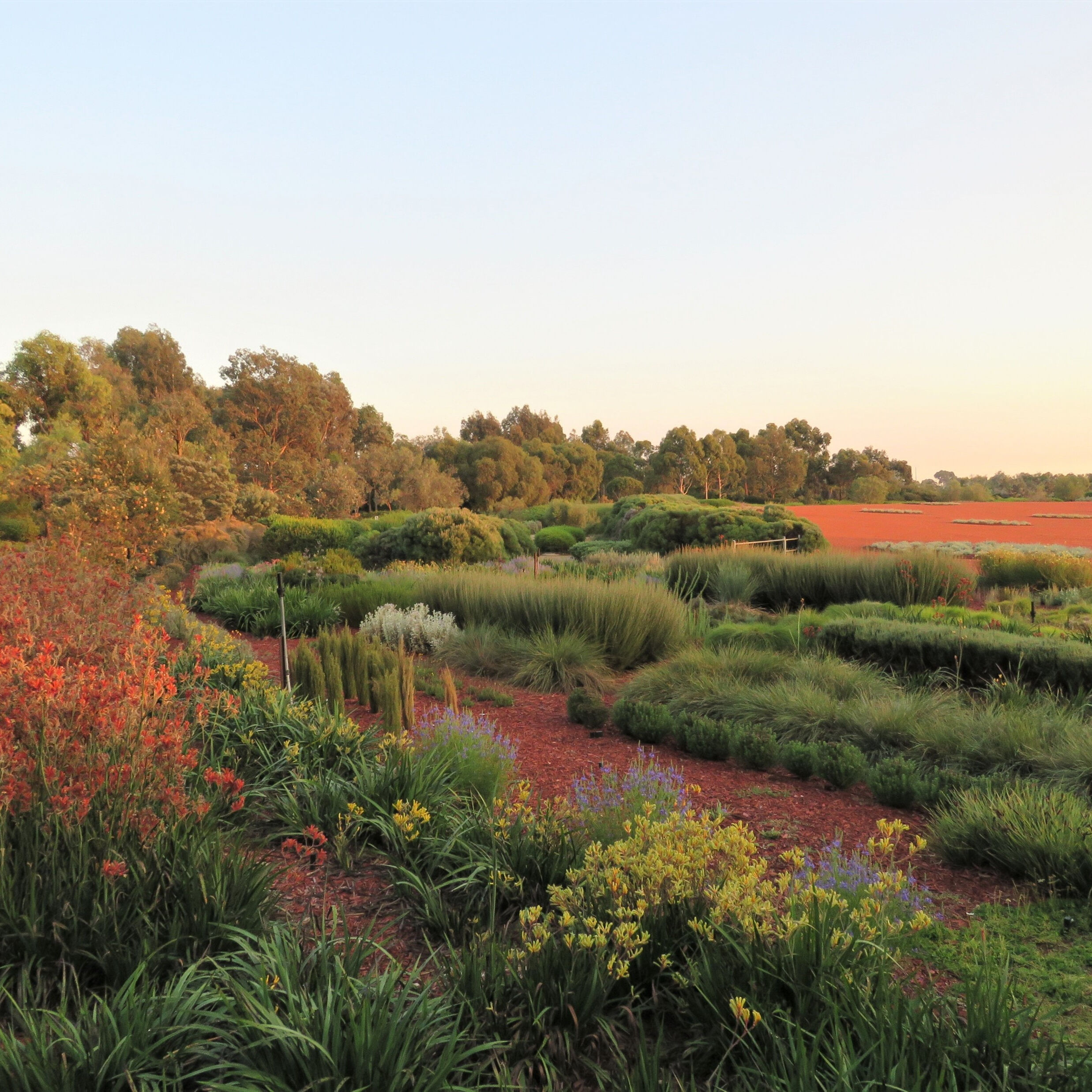 RBG Crabourne (part of RBG Victoria)