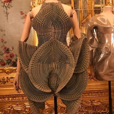 Sally Gray_Iris van Herpen dress exhibited in The Vulgar Fashion Redefined