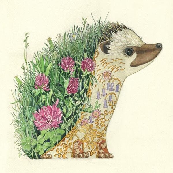 Card (DM Collection): Hedgehog