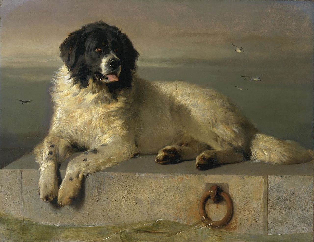 A_Distinguished_Member_of_the_Humane_Society_by_Sir_Edwin_Landseer