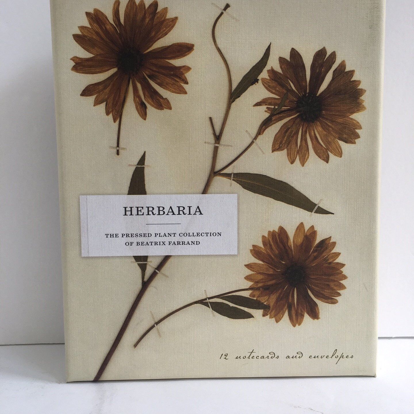 Card Set (Boxed): Herbaria