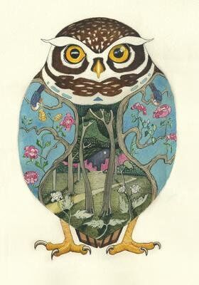 Card (DM Collection): Little Owl