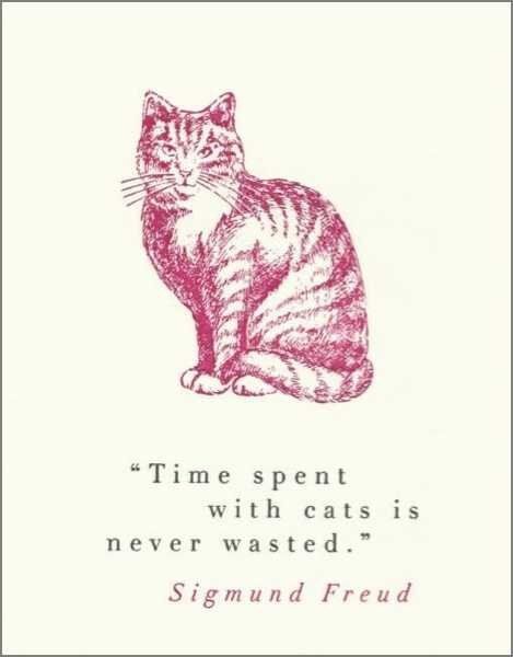 Card: Time with Cats