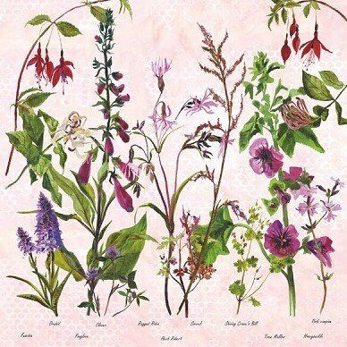 Card (Annabel Langrish): Purple and Fuchsias