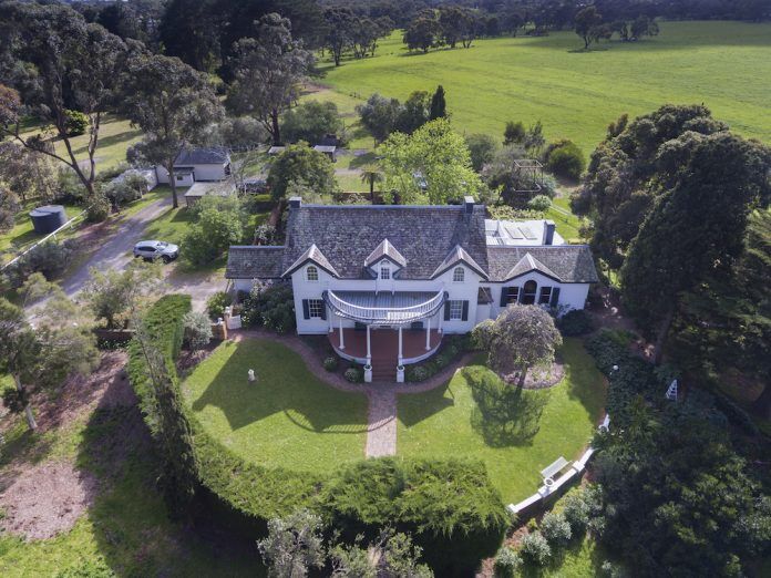 DJI_0313-696x522