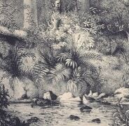 gardens 19th_c