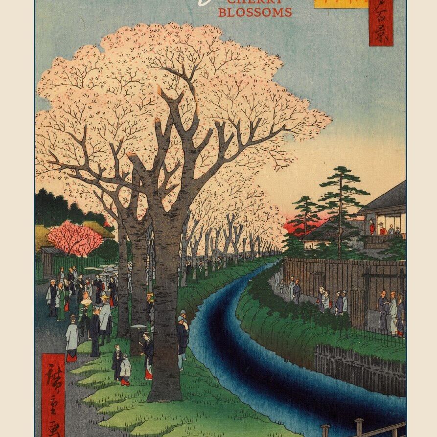 Card Set (Boxed): Hiroshige: Cherry Blossoms Notecards
