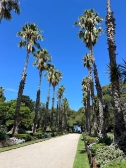 b67a15ea-256e-4a79-afaa-1a541b12d93b