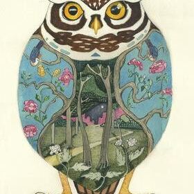 Card (DM Collection): Little Owl