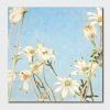 Card Set (Wallet): Cressida Campbell -Flannel Flowers Night & Day