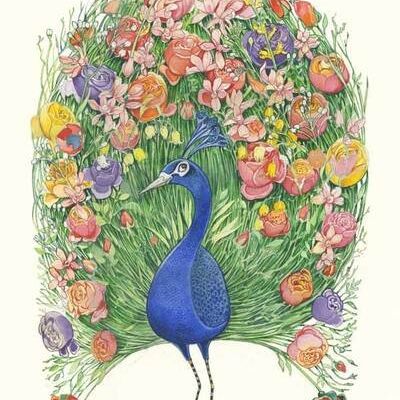 Card (DM Collection): Peacock