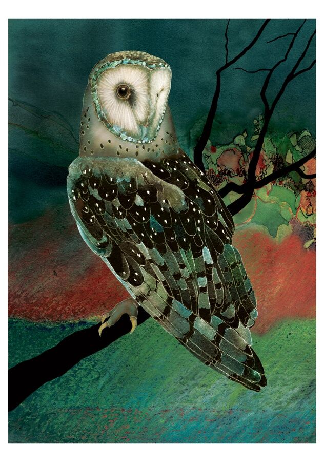 Card Set (Boxed): Barn Owls