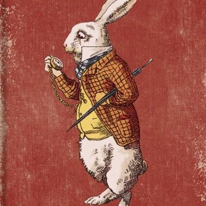 Card: White Rabbit