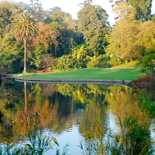 melbourne_botanic_garden_original