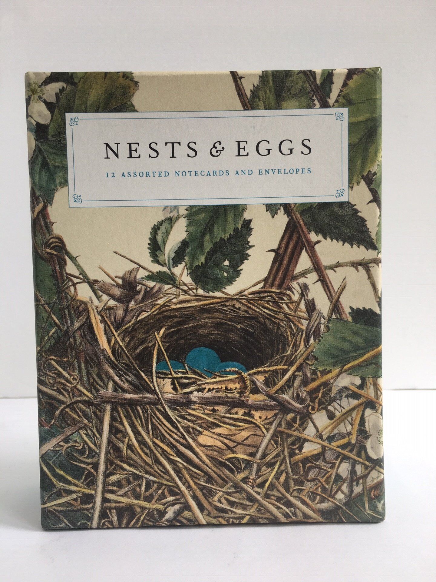 Card Set (Boxed): Nests & Eggs