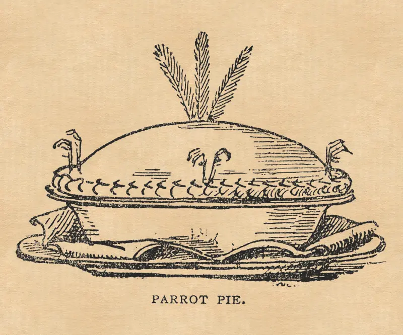 ParrotPie-2