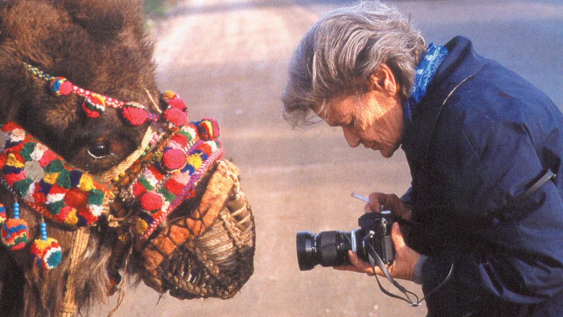 Josephine Powell