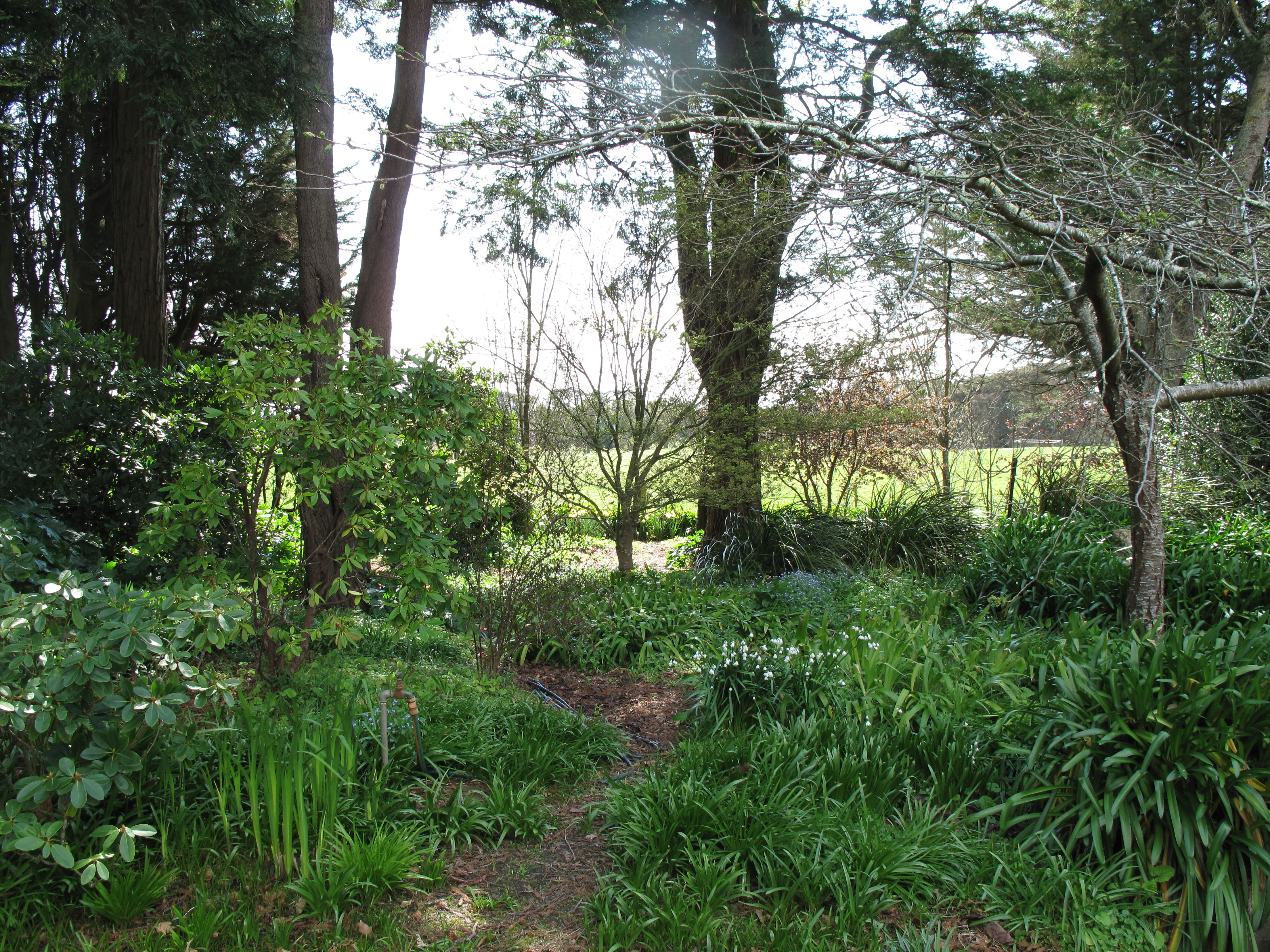 Garden Visits 070