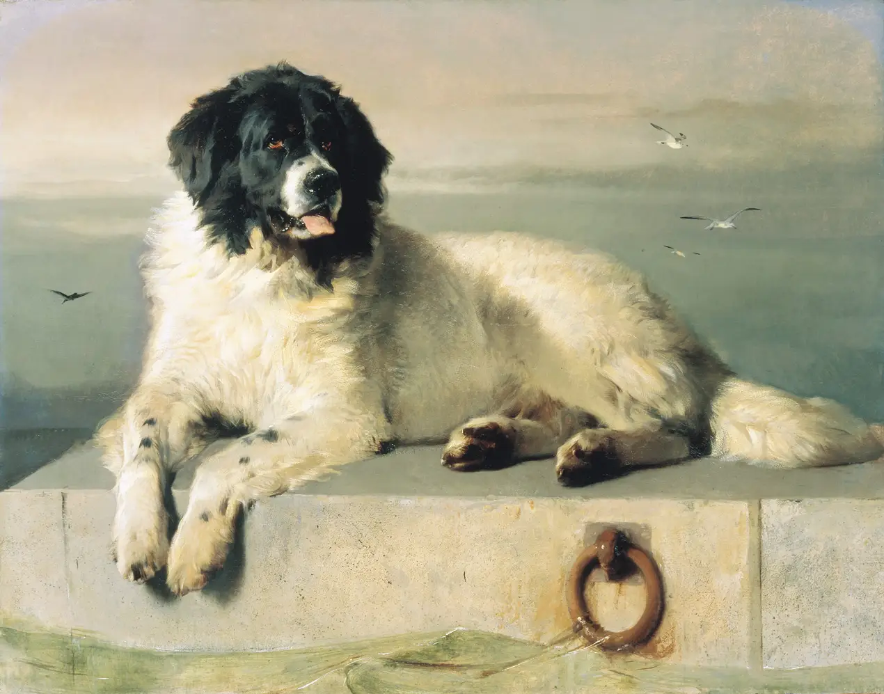 A distinguished member of the Humane Society 