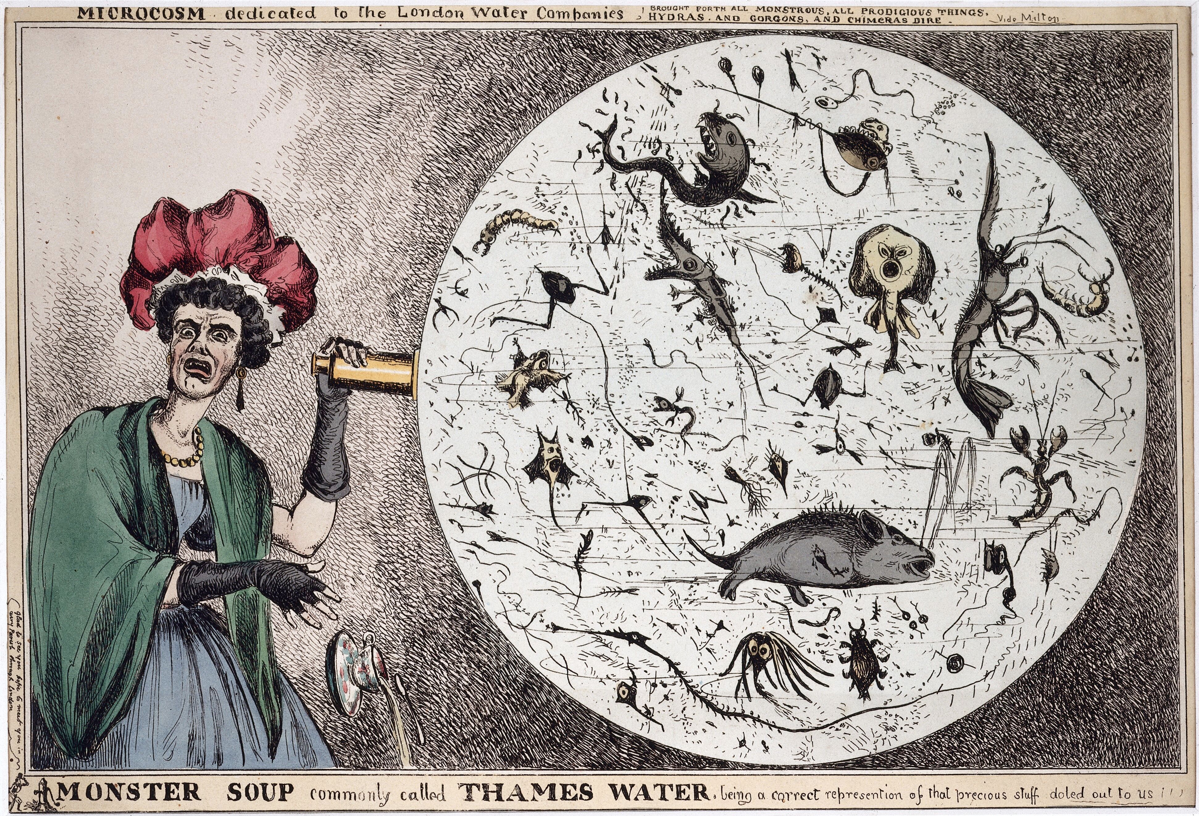 Monster-Soup-1828
