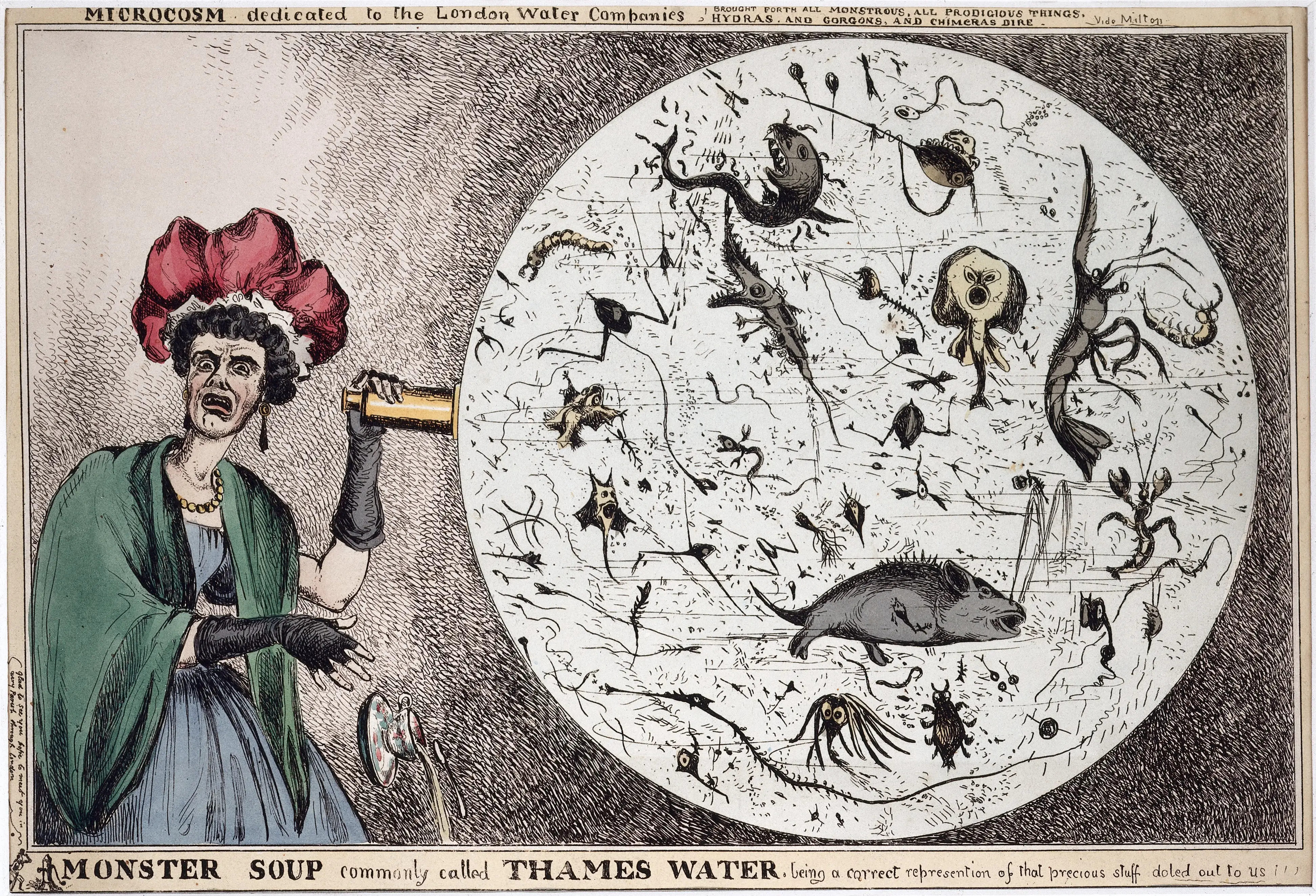 Monster-Soup-1828