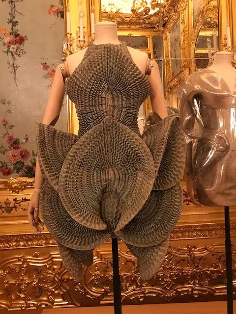 Sally Gray_Iris van Herpen dress exhibited in The Vulgar Fashion Redefined