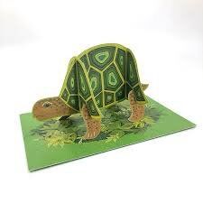 Cards (Alice Melvin):  Tortoise