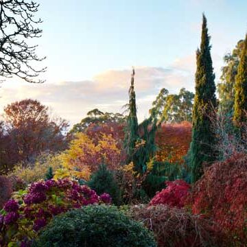 2017 Autumn Country Garden tour April 2017