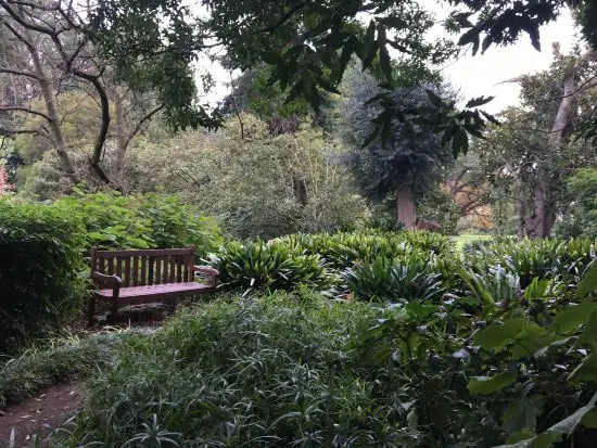 burnley-gardens