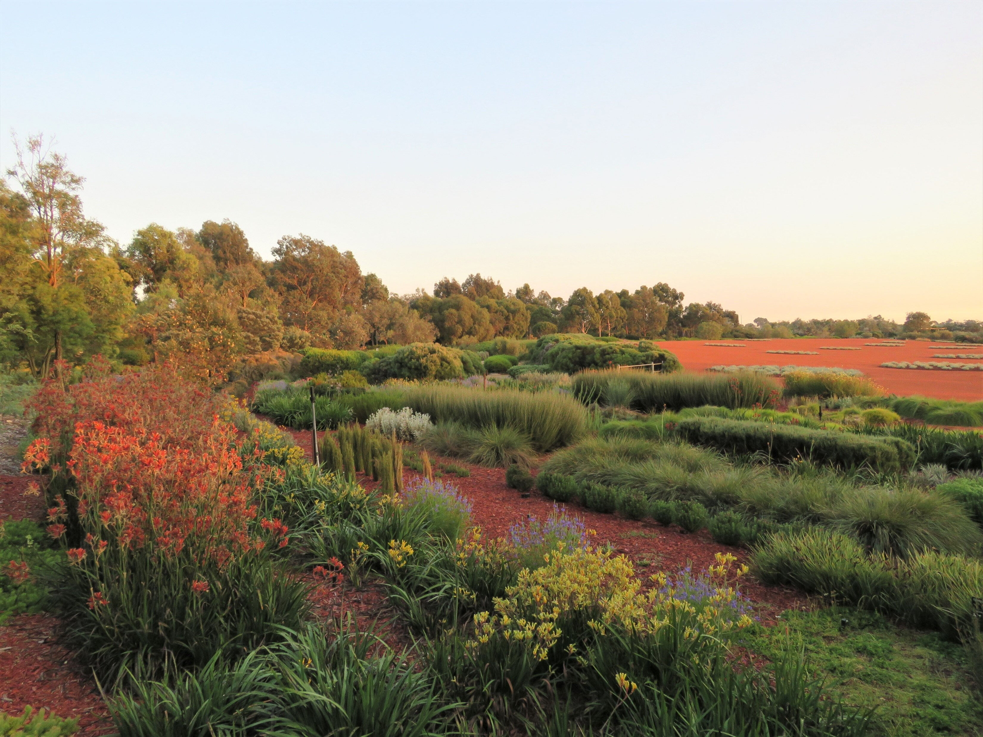 RBG Crabourne (part of RBG Victoria)
