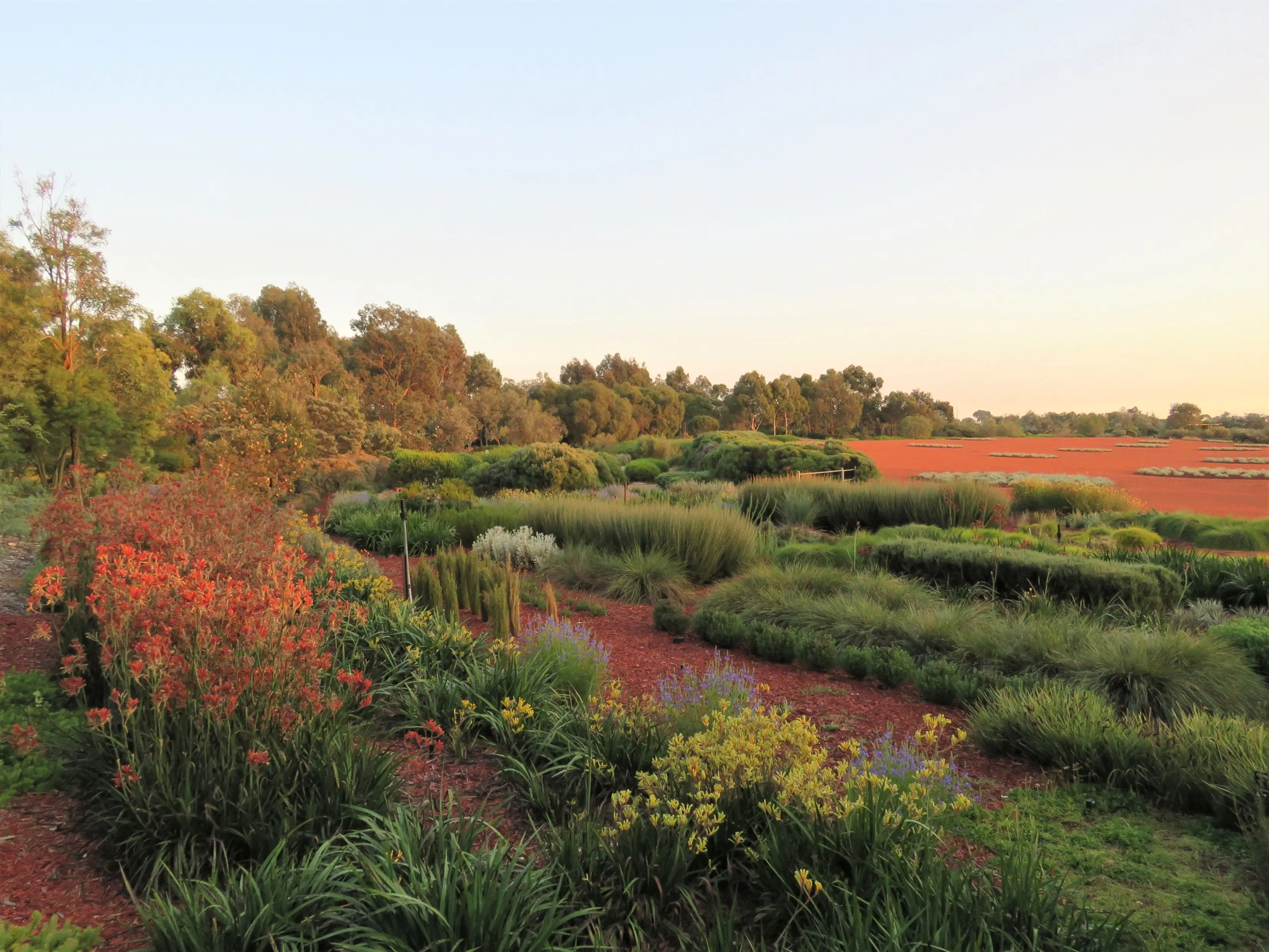 RBG Crabourne (part of RBG Victoria)