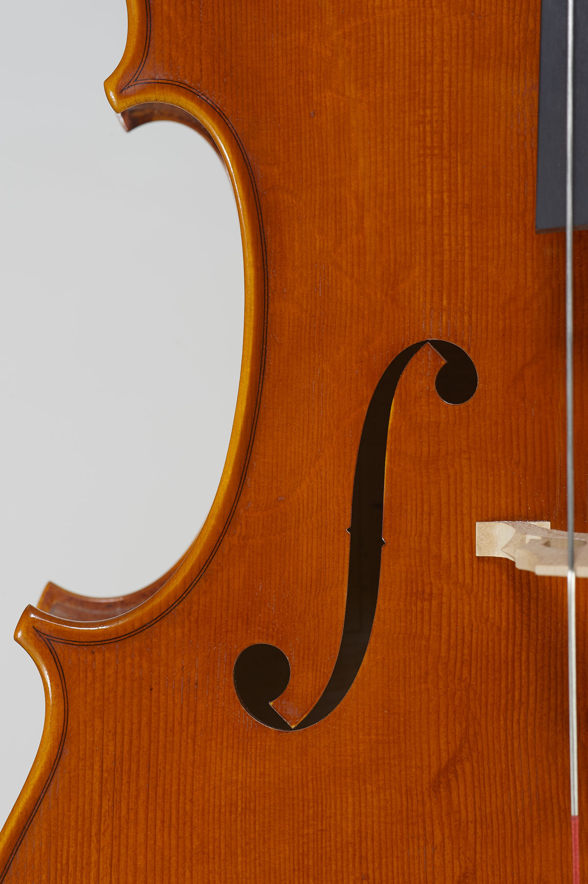 cello-detail