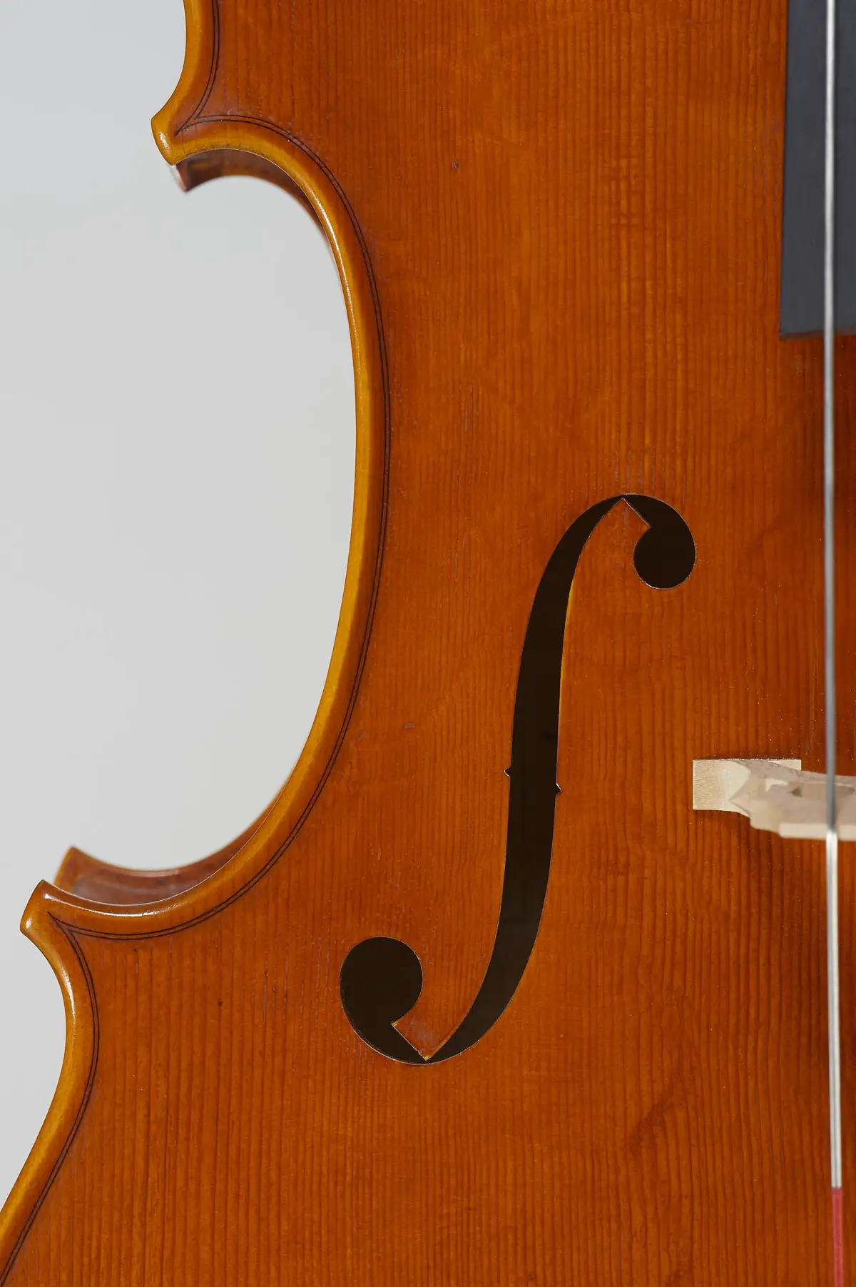 cello-detail