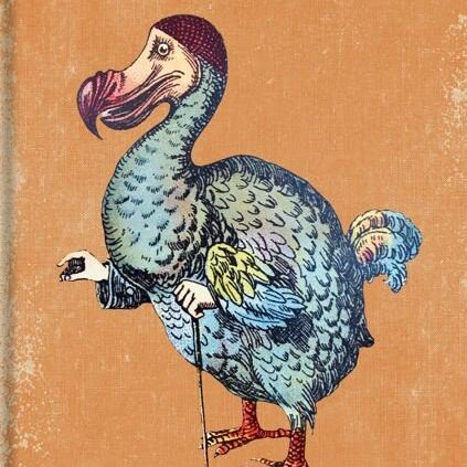 Card: Dodo