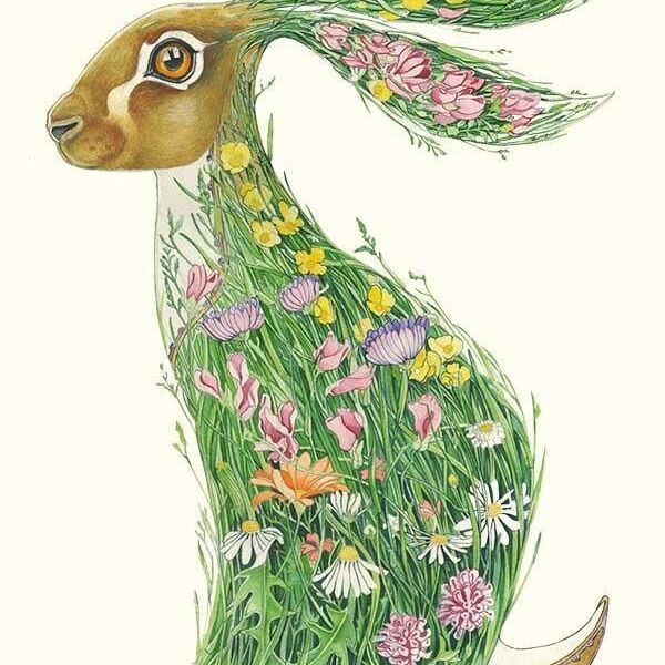 Card (DM Collection): Hare in a Meadow