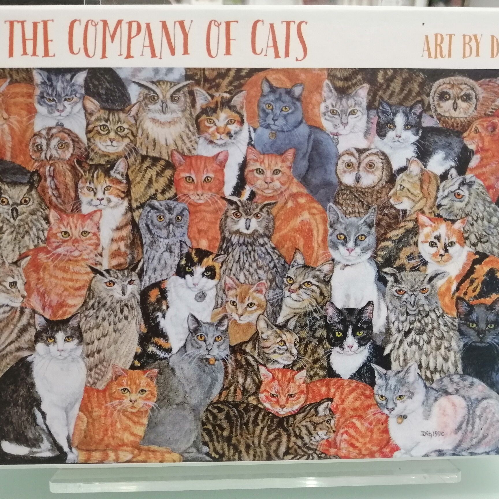 Card Set (Boxed): In the Company of Cats