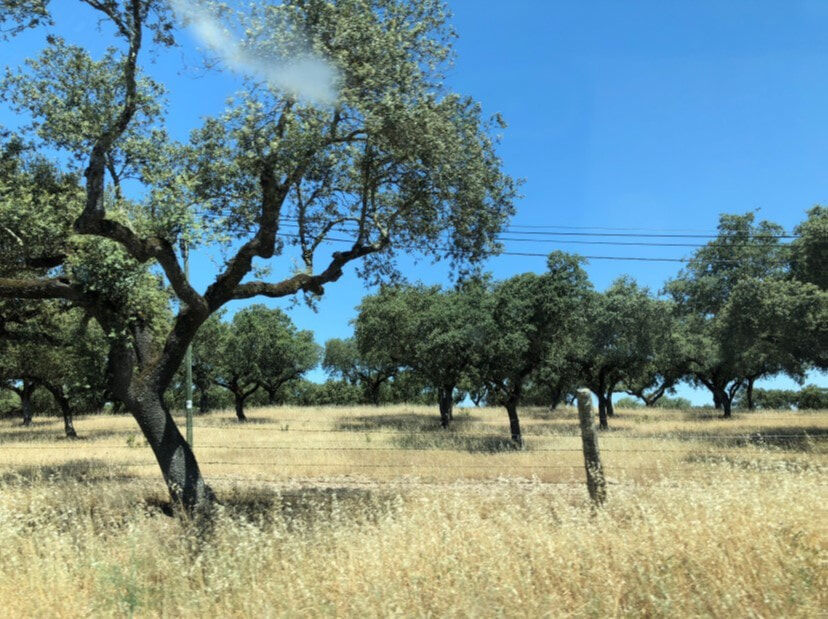 portugal
