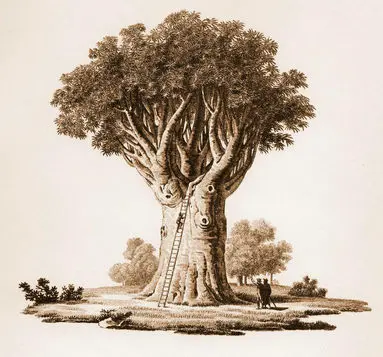 05-2-humboldt