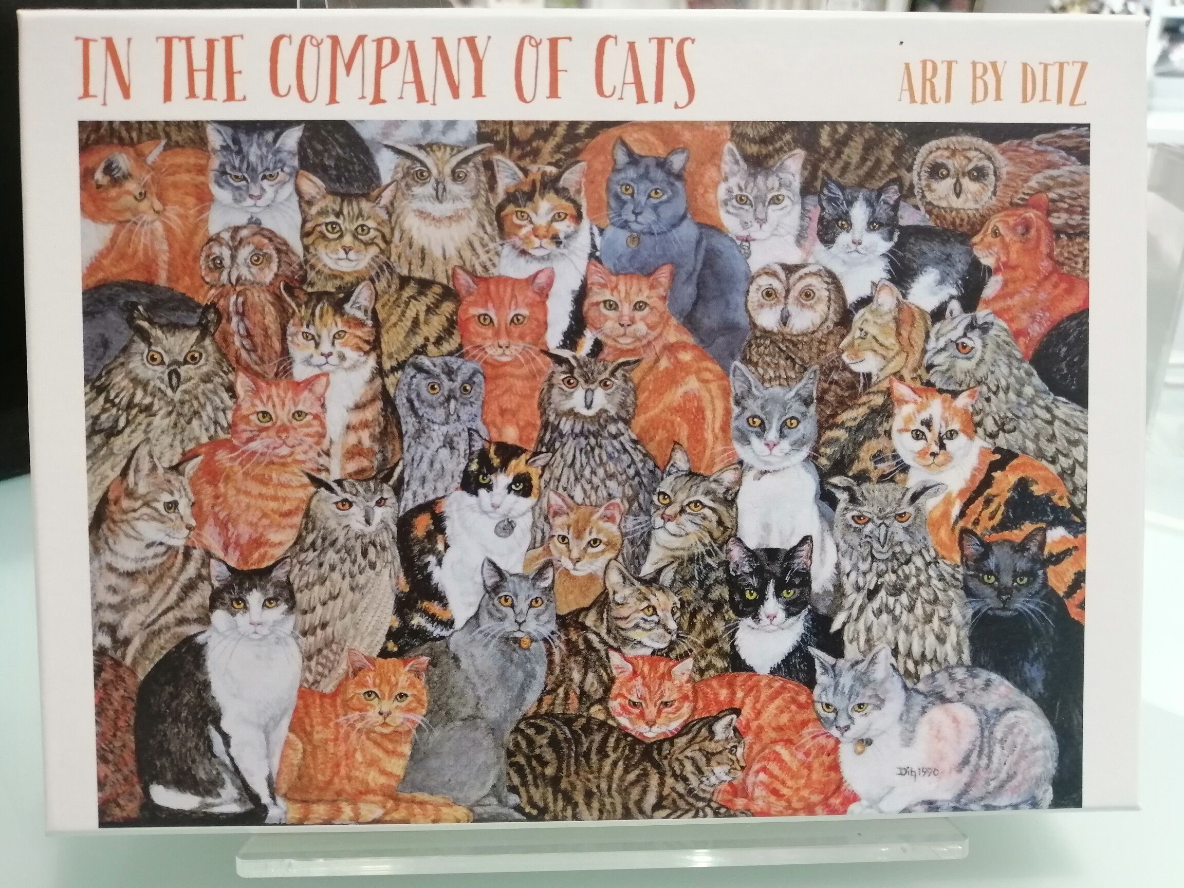 Card Set (Boxed): In the Company of Cats